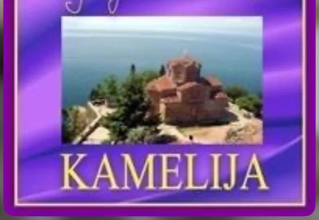 Kamelija plac vo nas.Crnogorci 381m2 so markica 1