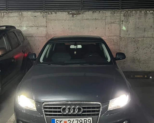 Barame rabotnik za shtala vo Gorno Nerezi. 1