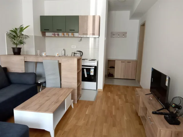 Studio apartment for rent, new 30m2 in Kisela Voda 280 EUR / 1