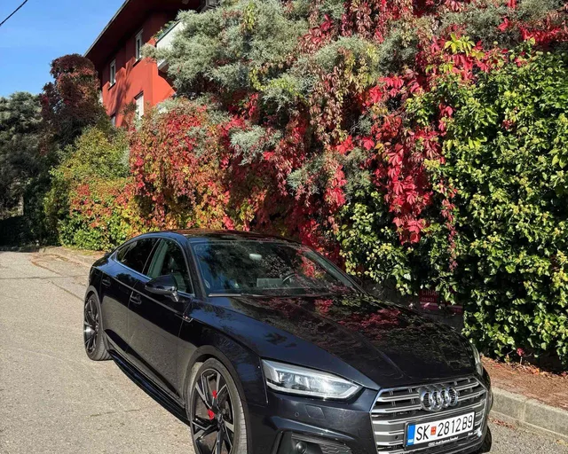 AUDI A5 45TDI 3.0L QUATTRO 2017 3X S LINE ЦЕЛОСНА ОПРЕМА 1